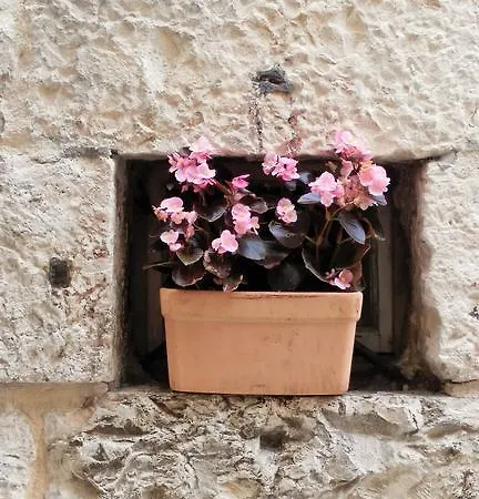 Vendégház Livia 3*